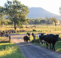 Tommerups Dairy Farmstay - South Australia Travel