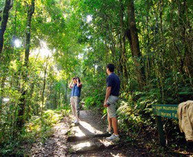 O'Reilly's Rainforest Retreat - South Australia Travel 2