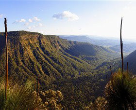 O'Reilly's Rainforest Retreat - South Australia Travel 3