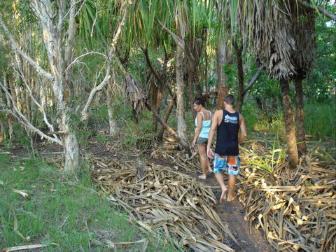 Berry Creek Bush Retreat - South Australia Travel 7