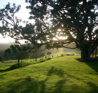 Kilfeacle Farm Cottage - South Australia Travel