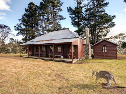 The Pines Cottage - South Australia Travel 0