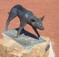 The Ardlethan Kelpie Caravan Park - South Australia Travel