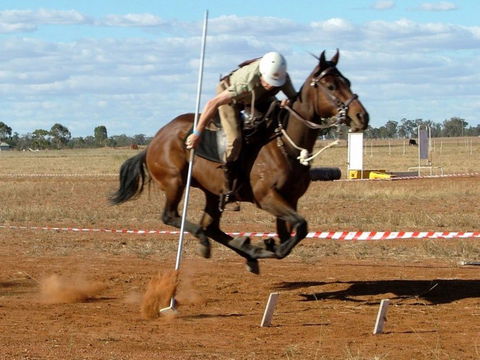 Tullamore Showground - South Australia Travel 0