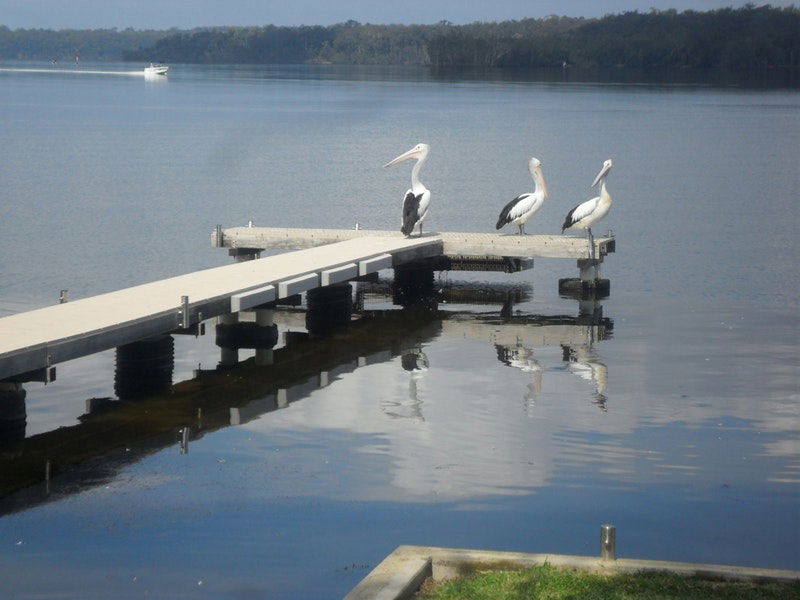 Basin View NSW South Australia Travel