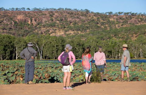 Mount Nancar Wilderness Retreat - South Australia Travel 5