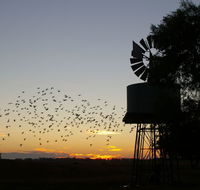 Nevertire Hotel - South Australia Travel