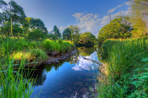 Terania Green Boutique Eco Cottages - South Australia Travel 3