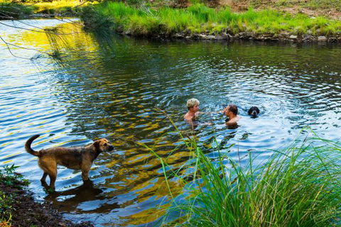 Terania Green Boutique Eco Cottages - South Australia Travel 4