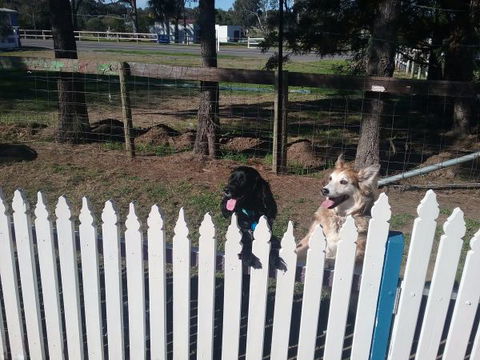 Wine Country Tourist Park - South Australia Travel 2