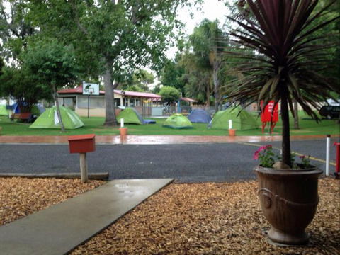 Young Caravan Tourist Park - South Australia Travel 1