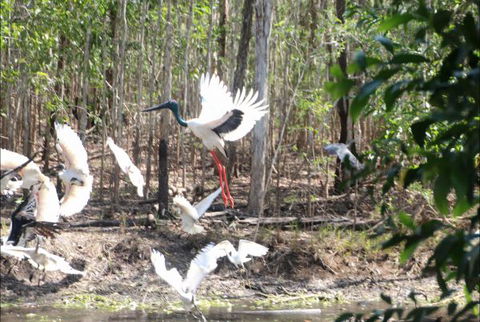 Rakhi Retreat - South Australia Travel 0