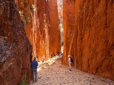 Standley Chasm Angkerle Camping - South Australia Travel 4