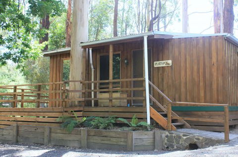 Tarra Valley Caravan Park - South Australia Travel 1
