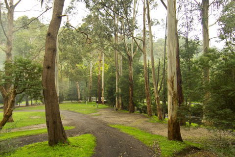 Tarra Valley Caravan Park - South Australia Travel 6