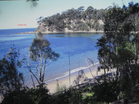 Grantham House  Pet Friendly Holiday Home - South Australia Travel 8