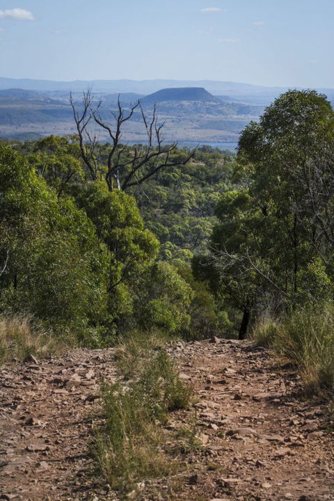 Kroombit Tops National Park Camping Ground - South Australia Travel 3