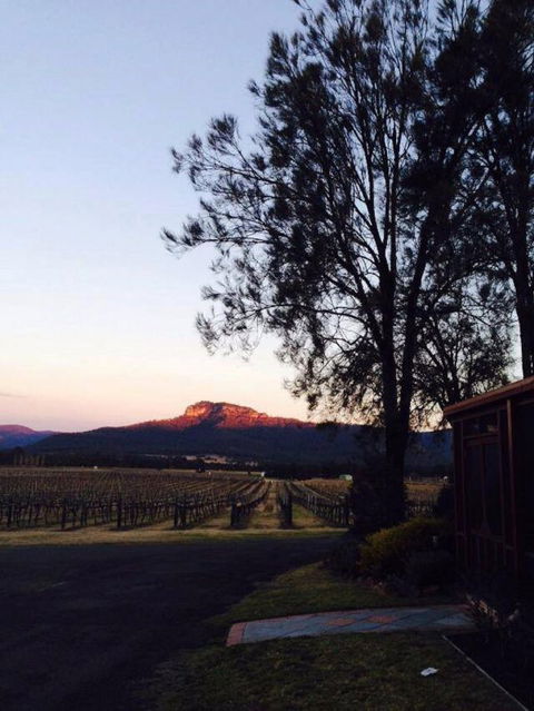 Nightingale Wines Luxury Villas - South Australia Travel 1