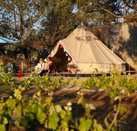 Grapevine Glamping - South Australia Travel