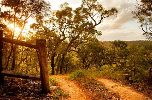 Blaxlands Ridge NSW South Australia Travel