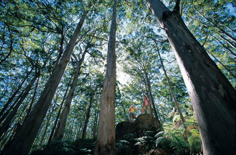 Point Road Camp At Leeuwin-Naturaliste National Park - South Australia Travel 1