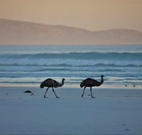 Thomas River Shire Reserve Camp at Cape Arid National Park - South Australia Travel