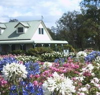 Emmas Cottage Vineyard - South Australia Travel