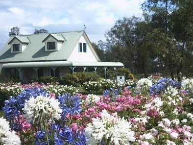 Emmas Cottage Vineyard - South Australia Travel 0