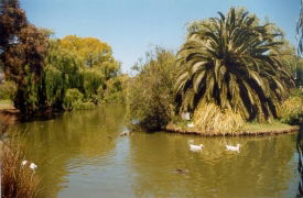 Brighton On The Park - South Australia Travel 3