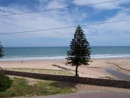 Christie's Seahorse - South Australia Travel 1