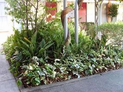 Comfort Inn Manhattan - South Australia Travel 2