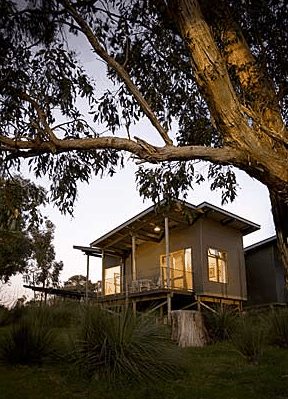 Longview Vineyard - South Australia Travel 1
