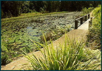 Aba Abode - South Australia Travel 3