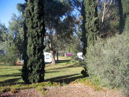 Rivers Edge Caravan Park - South Australia Travel 1