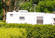 Barilla Holiday Park - South Australia Travel 3