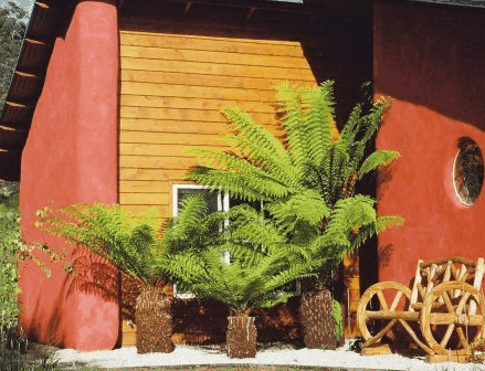 Whispering Spirit Cottage  Miniature Pony Stud - South Australia Travel