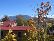Prince Of Wales - South Australia Travel 1