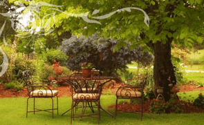Glencoe Country Bed And Breakfast - South Australia Travel 1