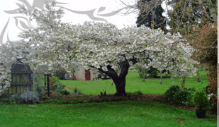 Glencoe Country Bed And Breakfast - South Australia Travel 3