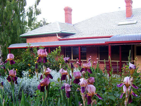 Donalea Bed & Breakfast - South Australia Travel 0