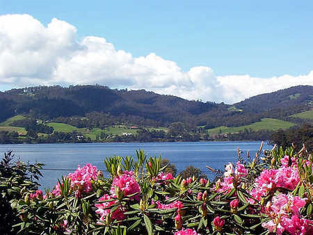 Donalea Bed & Breakfast - South Australia Travel 1