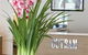 Wyndham The Outram Hotel Perth - thumb 0