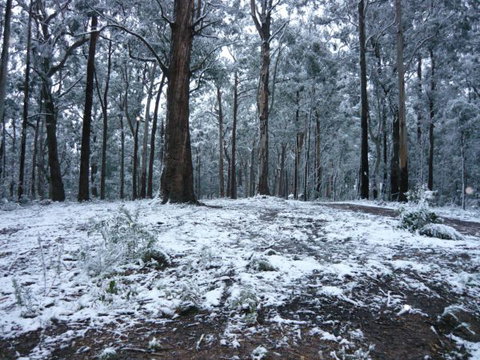 High Peaks Cottages - South Australia Travel 0