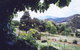 Springfield Cottage Bed & Breakfast - thumb 1