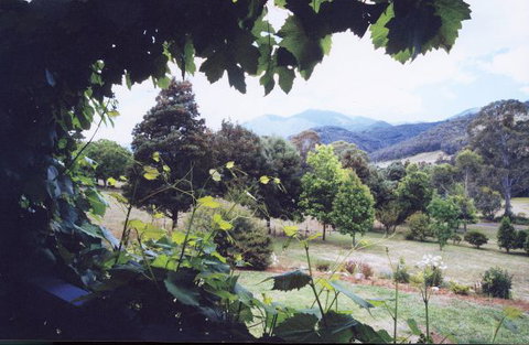 Springfield Cottage Bed & Breakfast - South Australia Travel 1