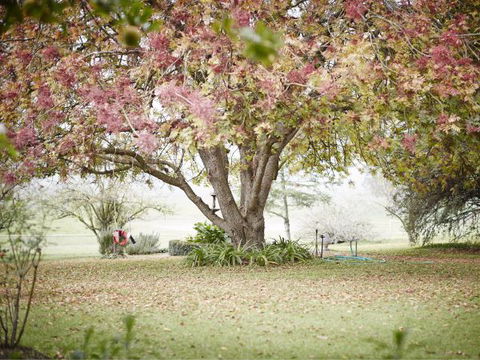 WillOaks B&B - South Australia Travel 8