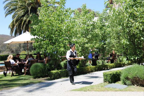 Grange Bellinzona - South Australia Travel 1