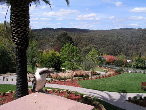 Grange Bellinzona - South Australia Travel 4