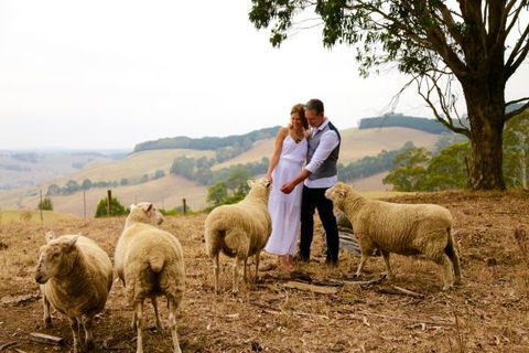 Halcyon Cottage Retreat - Self Contained Accommodation - South Australia Travel 2