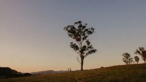 Faulls Ridge Winery - South Australia Travel 0